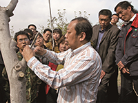 金沙娱乐城官网