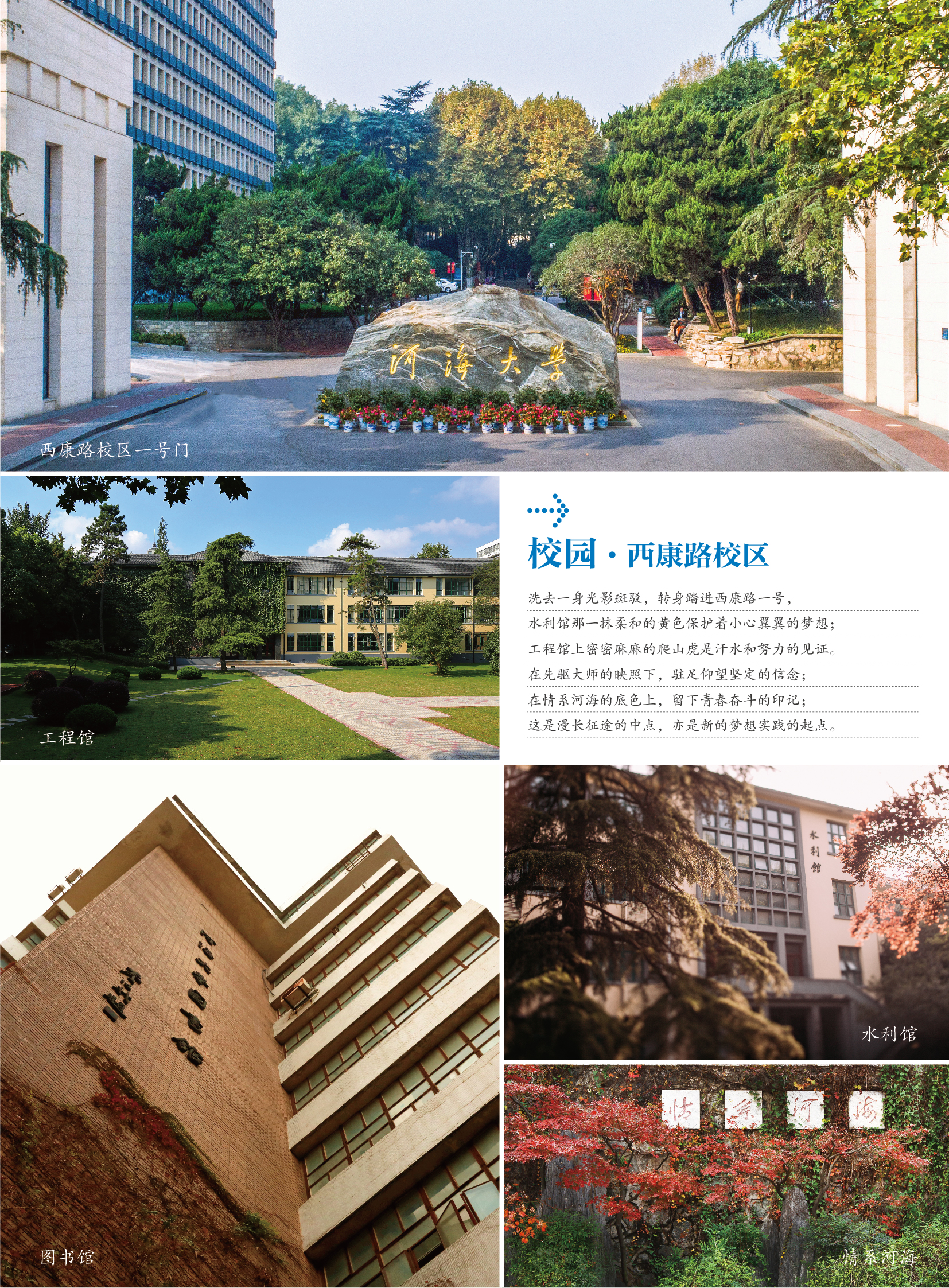 金沙娱乐城官网