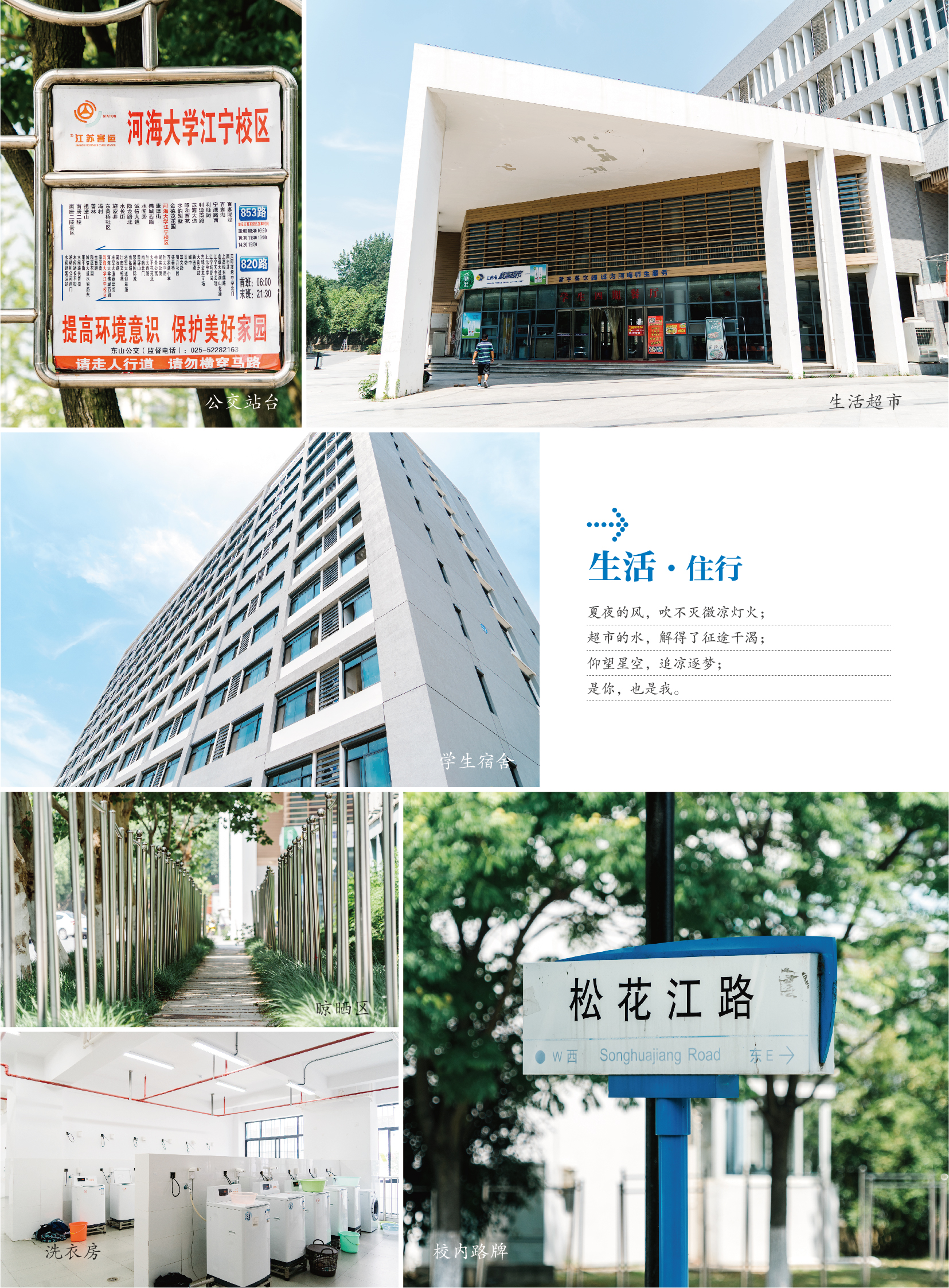 金沙娱乐城官网