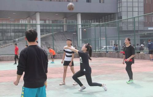 金沙娱乐城官网
