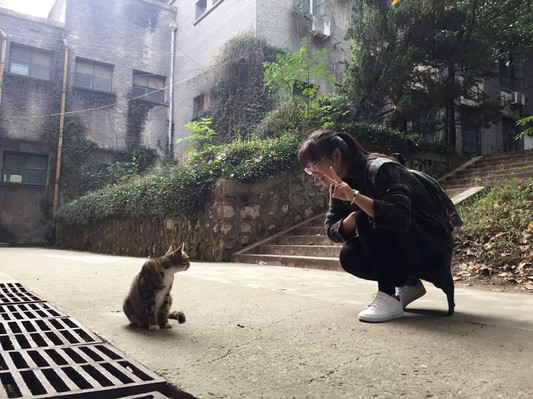 金沙娱乐城官网