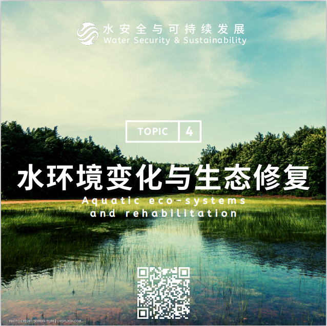 金沙娱乐城官网