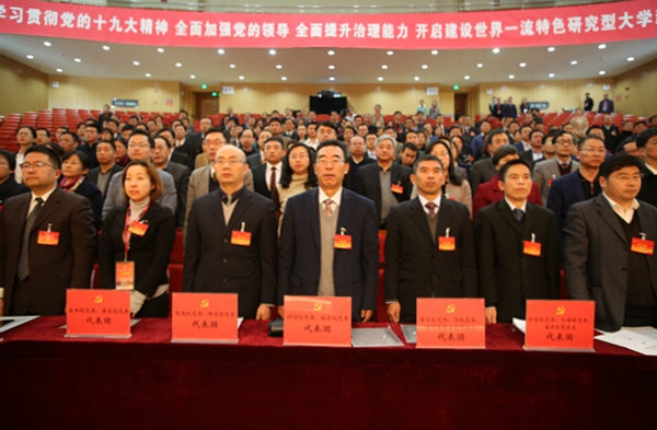金沙娱乐城官网