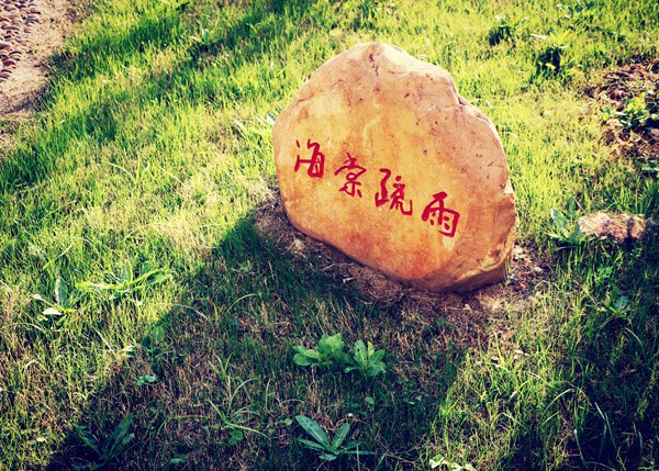 金沙娱乐城官网