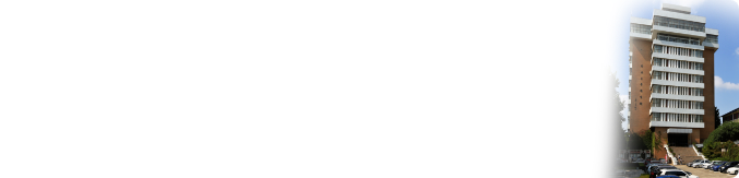 金沙娱乐城官网